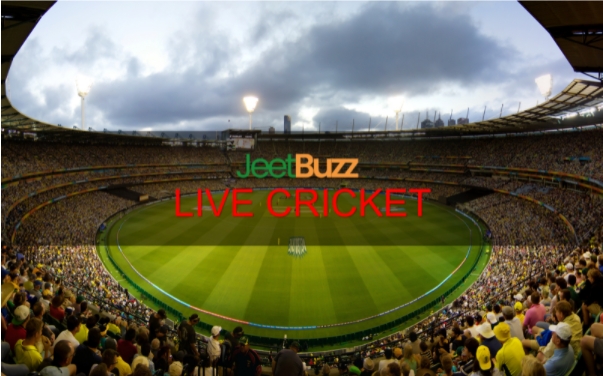 Live Cricket - JeetBuz