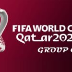 FIFA World Cup Qatar 2022 Group C