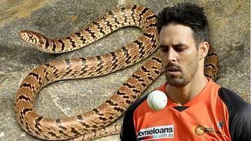 Mitchell Johnson