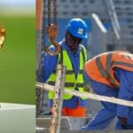 500 workers died in Qatar World Cup World Cup project chief