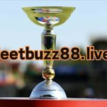 Insight of U19 World Cup Cricket Betting at Jeetbuzz